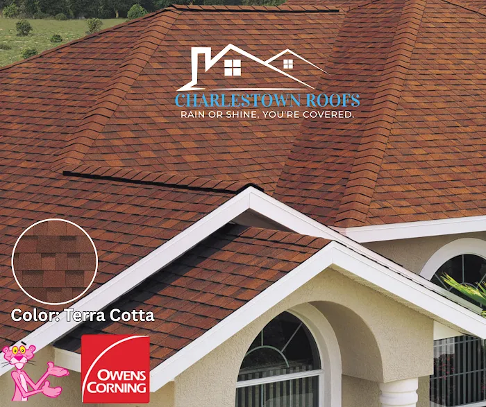 Charlestown Roofs Picture 3