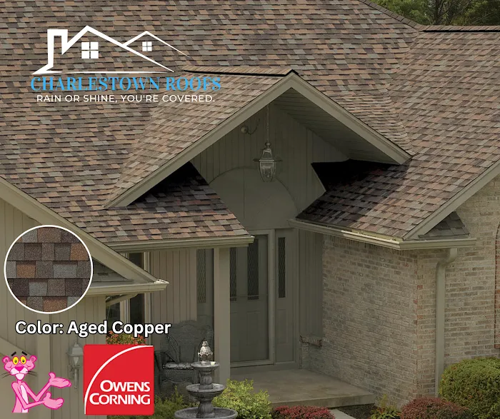 Charlestown Roofs Picture 6