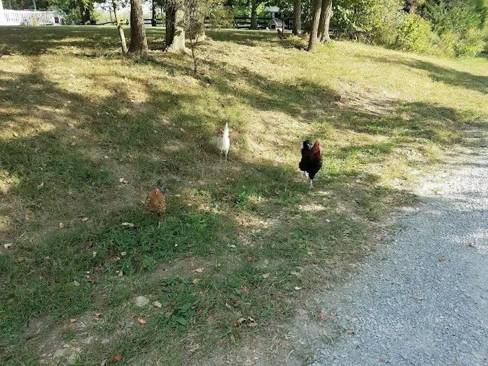 Oldham County Roofing Picture 2