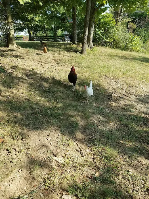 Oldham County Roofing Picture 1