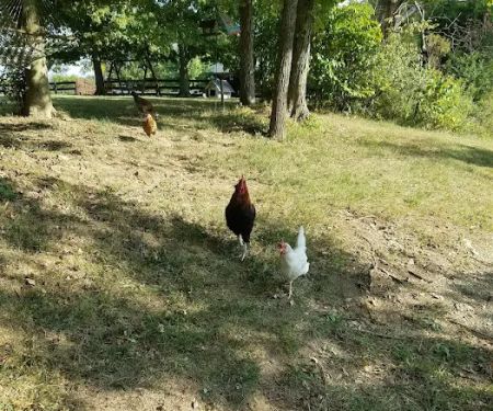 Oldham County Roofing