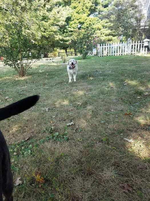 Oldham County Roofing Picture 6