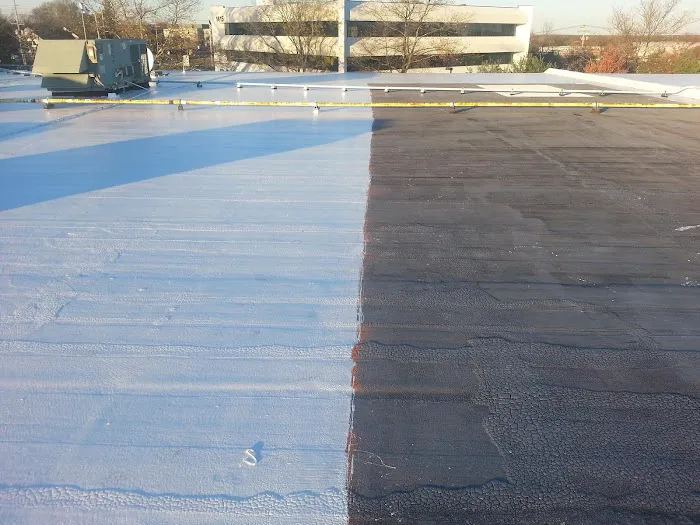 Roof Lynx Picture 10