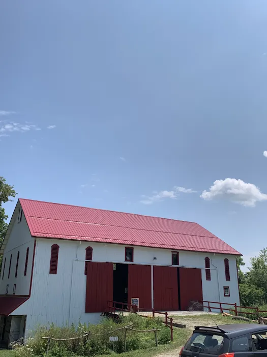 Double T Roofing Picture 5