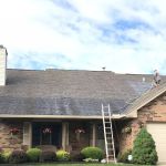 Shingle Shine Roof Cleaners
