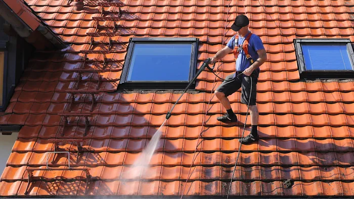 Shingle Shine Roof Cleaners Picture 3