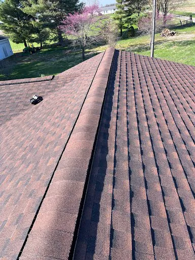 Roof Dog LLC Picture 5