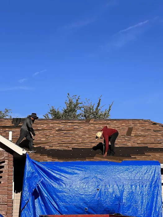 Roof Dog LLC Picture 8