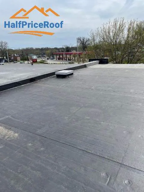 Half Price Roof Picture 6