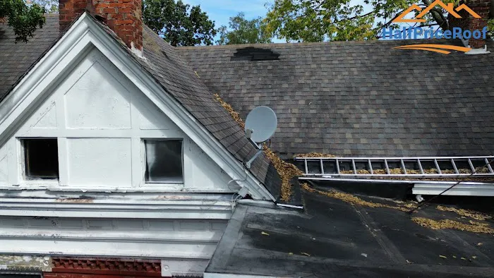 Half Price Roof Picture 4
