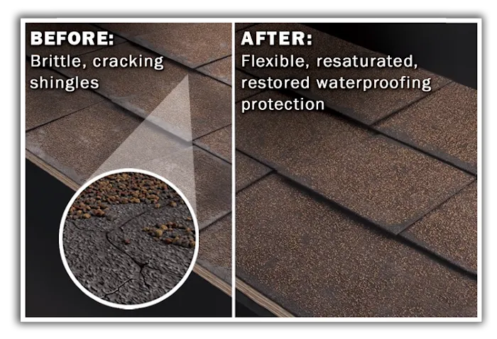 RoofRestor Picture 2