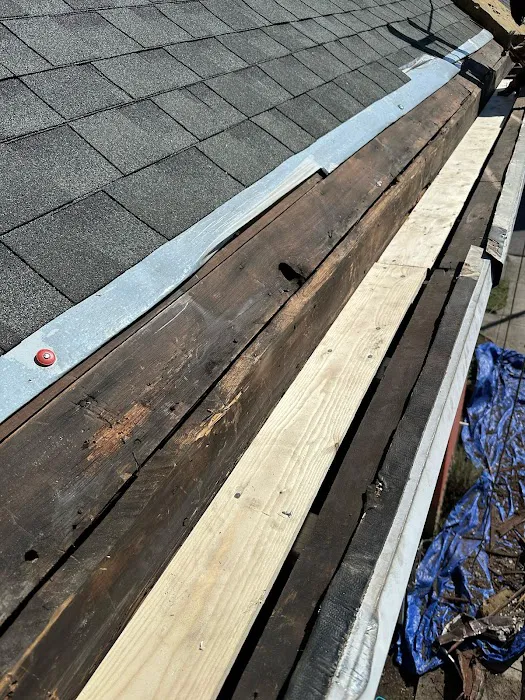 Loyalty to Neighbor Picture 6