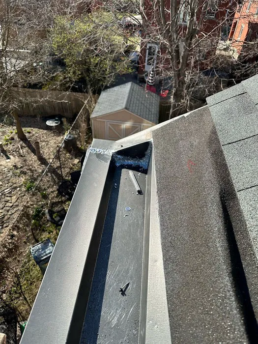 Loyalty to Neighbor Picture 5