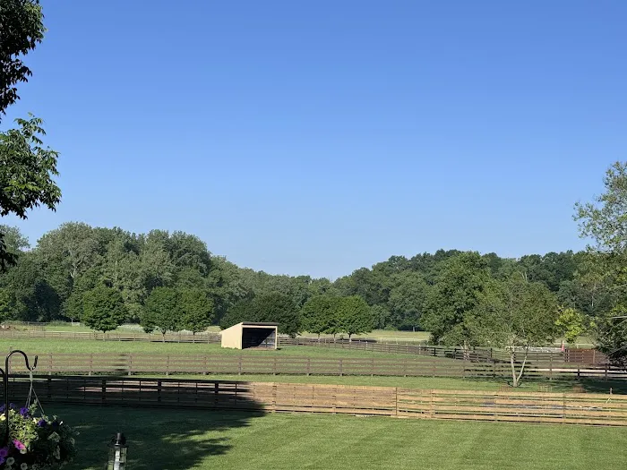 Eldridge Roofing Picture 1