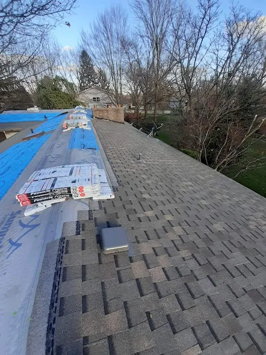 Low Cost Roofing Picture 4