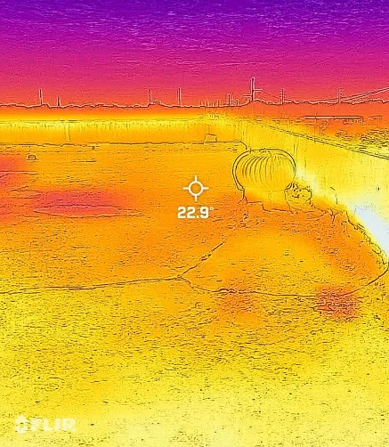 Alpha 1 Exteriors Inc Picture 5