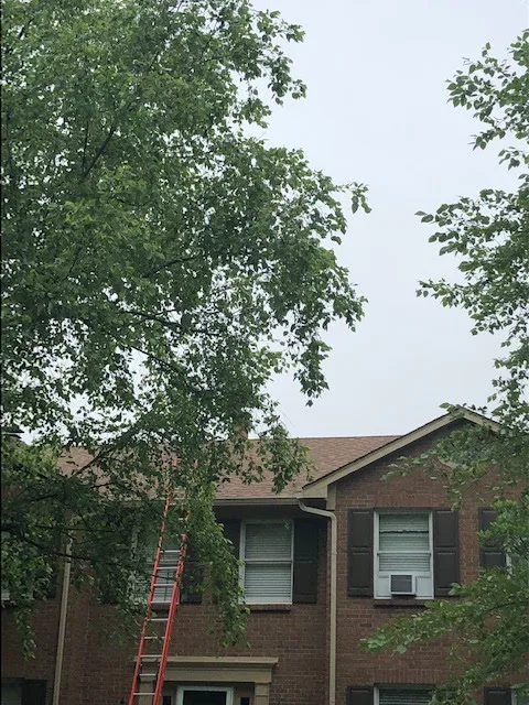 Maksim Roofing LLC Picture 4