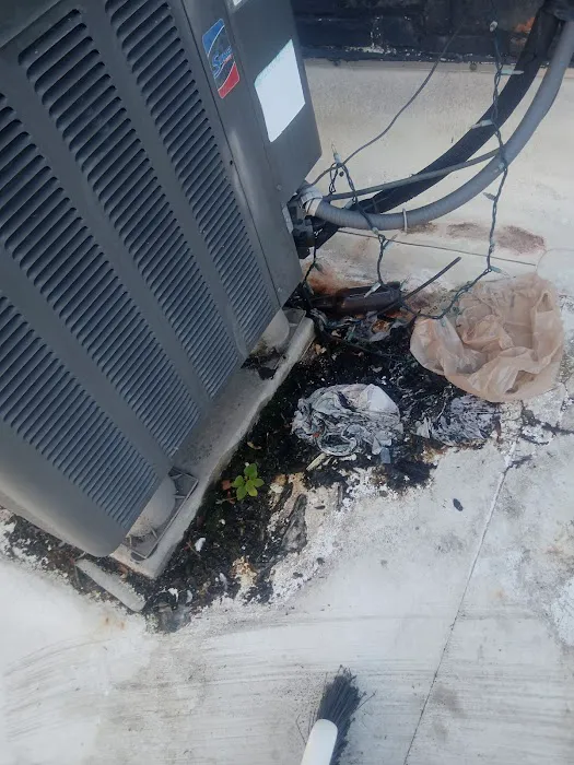 Vetalino Aguilar roofingLLC Picture 10