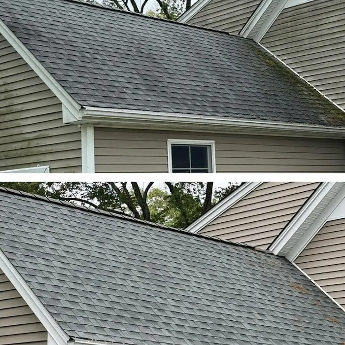 Trusty Roofing Joliet Picture 3