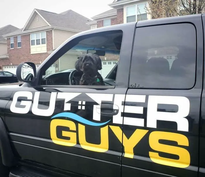 Gutter Guys Picture 5
