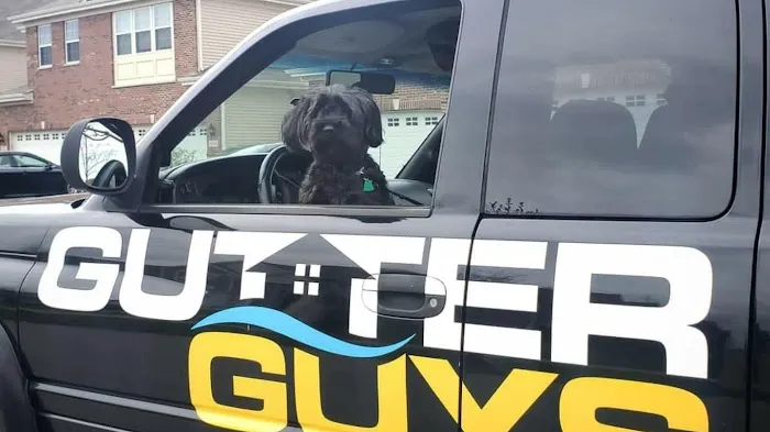 Gutter Guys Picture 8