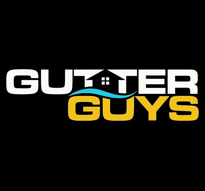 Gutter Guys Picture 9