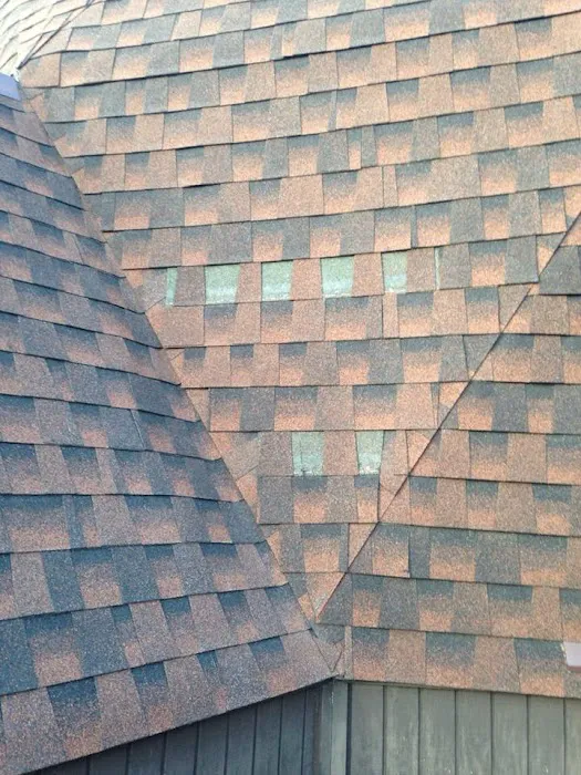 Roofing Contractor Pros Picture 2