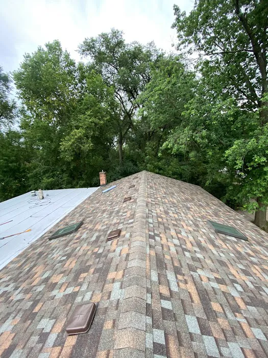 Desired Roofing improvements Picture 3