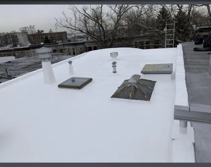 C Roofing Repair Picture 3