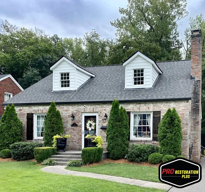 Pro Restoration Plus Picture 1