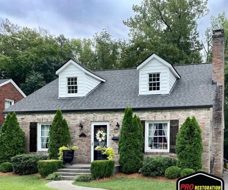 Pro Restoration Plus