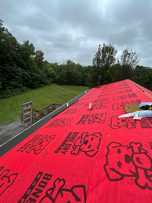 Bone Dry Roofing Picture 6