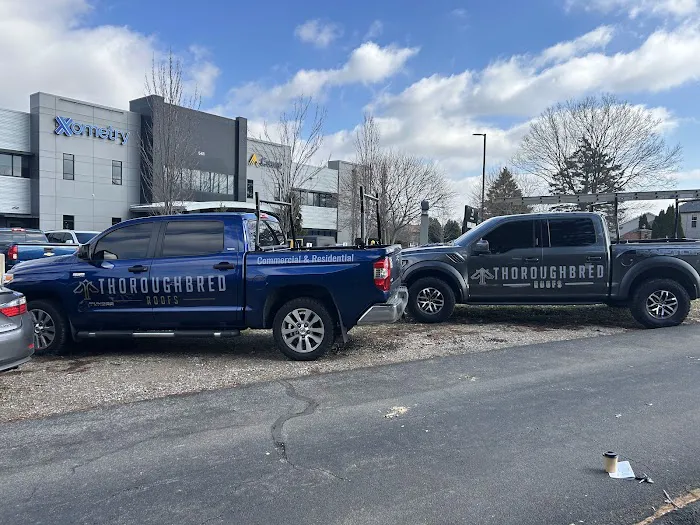 Thoroughbred Roofs Picture 7