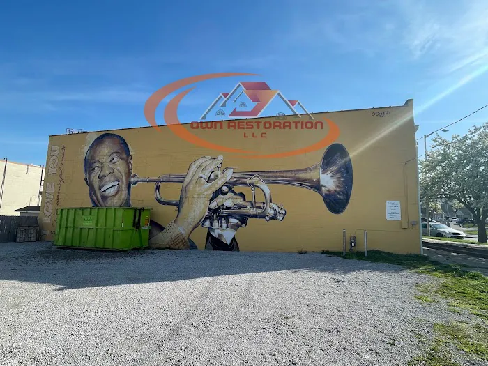 Own Restoration Picture 8