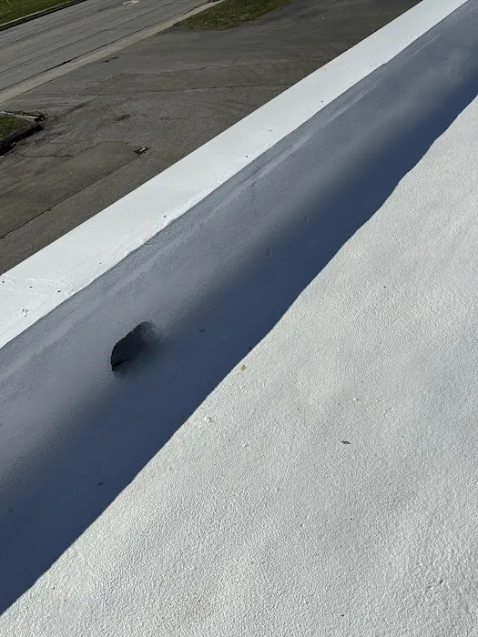 Thunder and Sons Roofing Solutions Picture 4