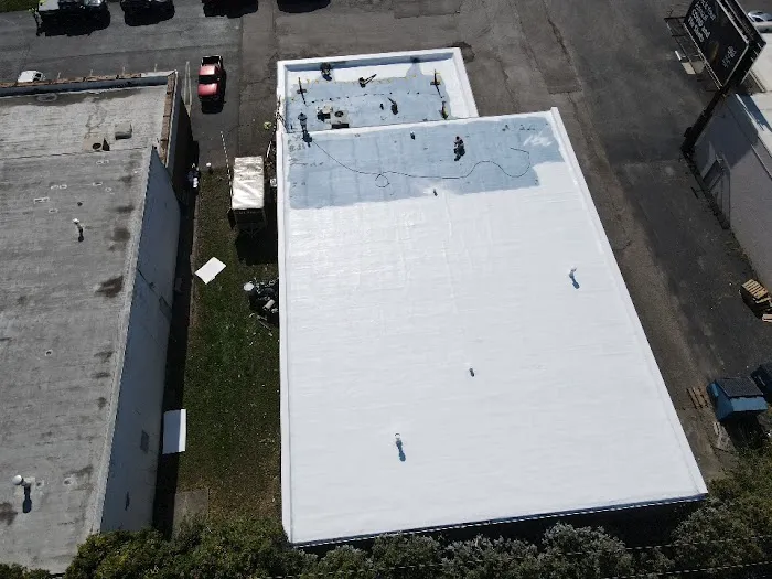 Thunder and Sons Roofing Solutions Picture 8