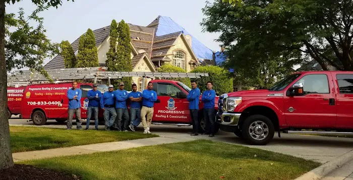 Silver Phoenix, Inc. Picture 2