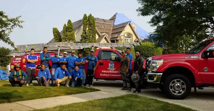 Silver Phoenix, Inc. Picture 3