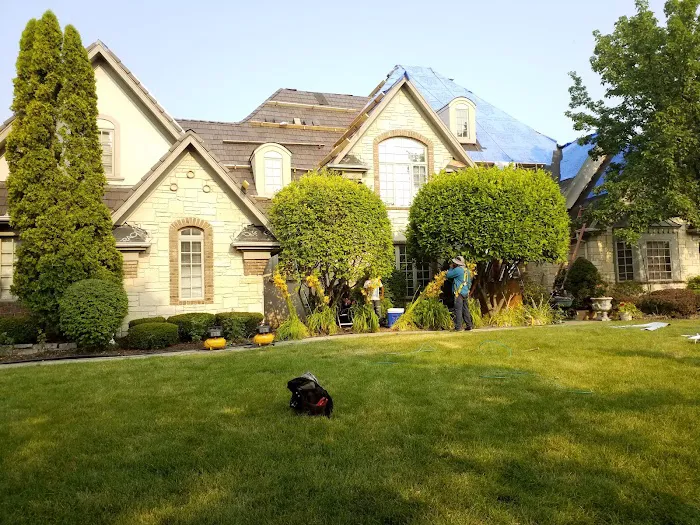 Silver Phoenix, Inc. Picture 6