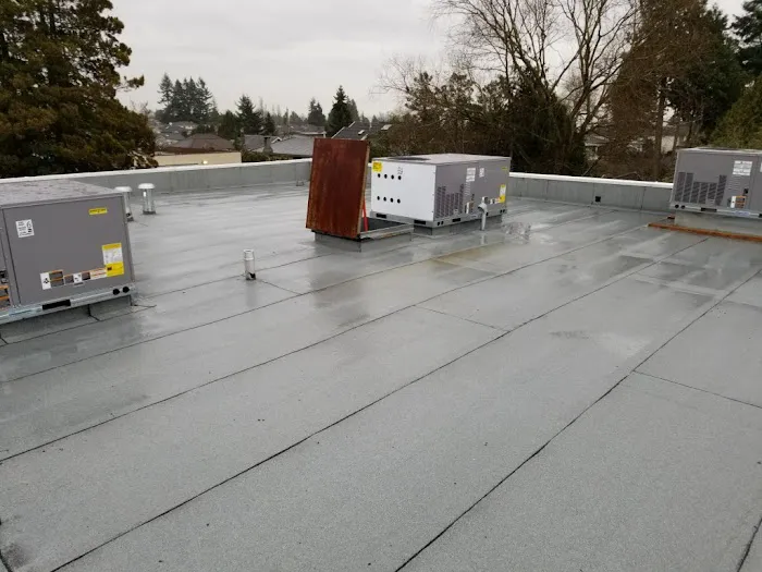Lifetime Roofing & Restoration Picture 5