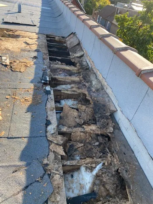 4Everdry Roofing & Tuckpointing Picture 7