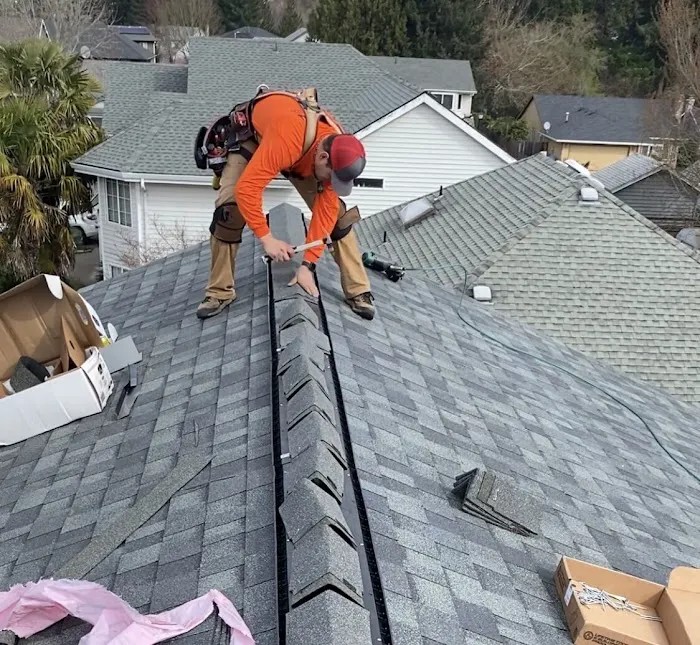 Chicago Roofing Experts Picture 1