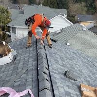 Chicago Roofing Experts ico