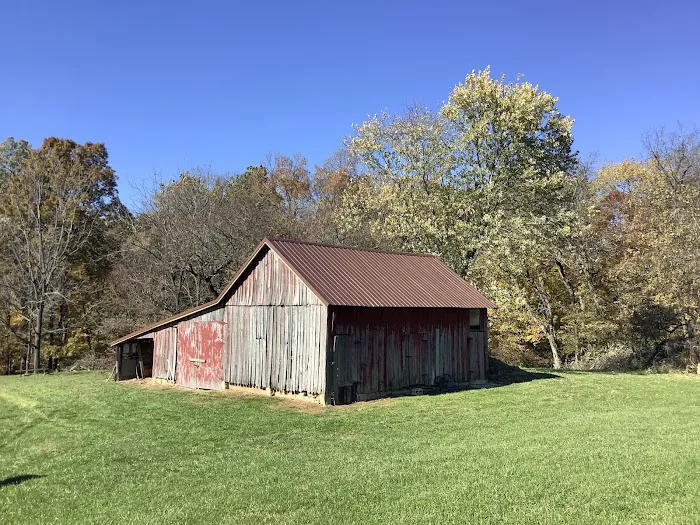 Amish Roofers Picture 6