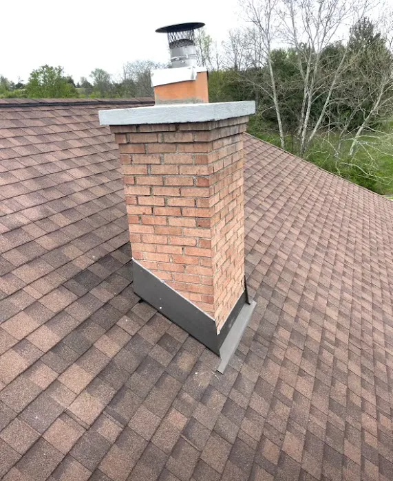 Lady On The Roof­­® Picture 2