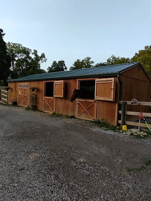 Lady On The Roof­­® Picture 9