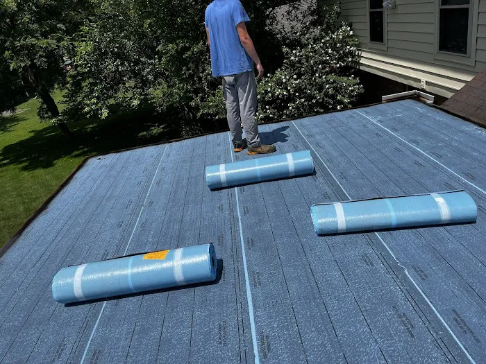 Lady On The Roof­­® Picture 8