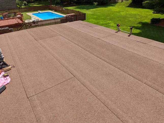 Lady On The Roof­­® Picture 10