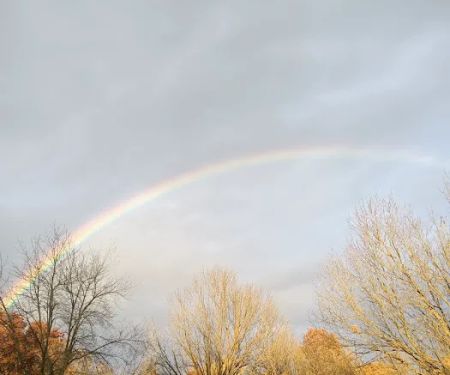 Palmer Roofing And Sheet Metal