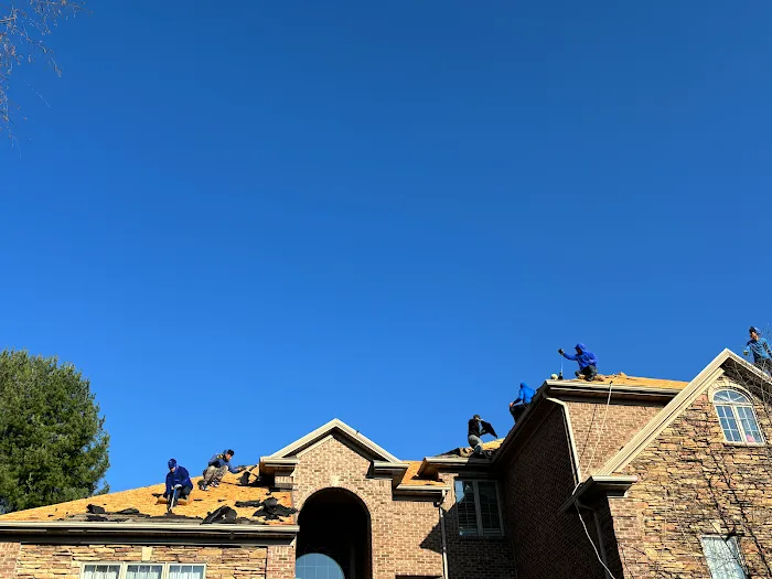 Lexington Blue Louisville Picture 3